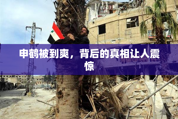 申鹤被到爽，背后的真相让人震惊