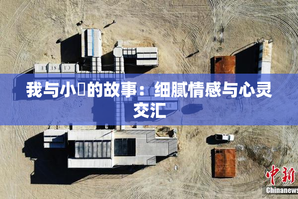 我与小娻的故事：细腻情感与心灵交汇