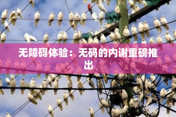 无障碍体验：无码的内谢重磅推出