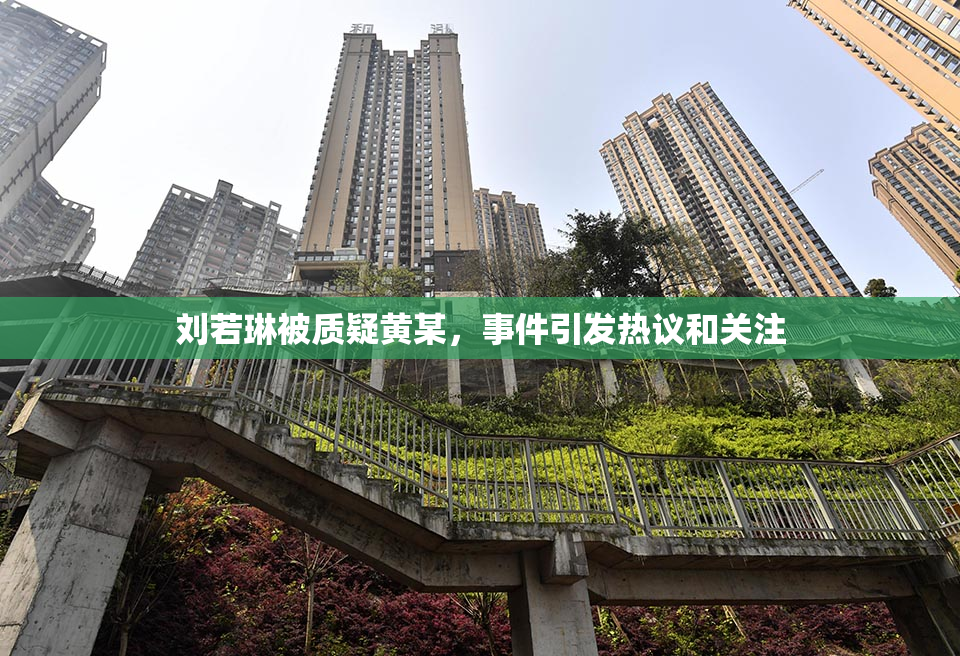刘若琳被质疑黄某，事件引发热议和关注