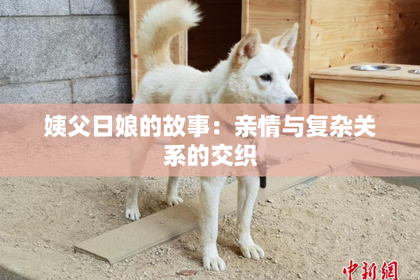 姨父日娘的故事：亲情与复杂关系的交织