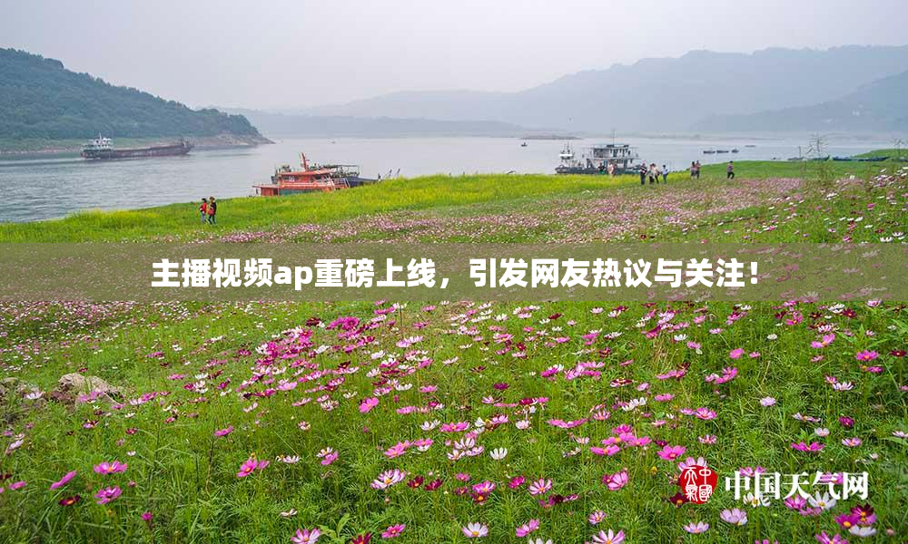 主播视频ap重磅上线，引发网友热议与关注！