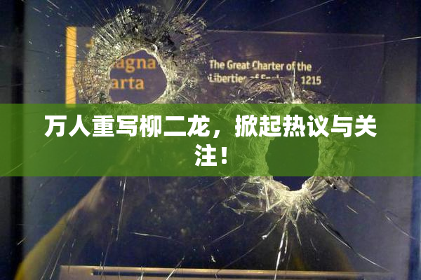 万人重写柳二龙，掀起热议与关注！