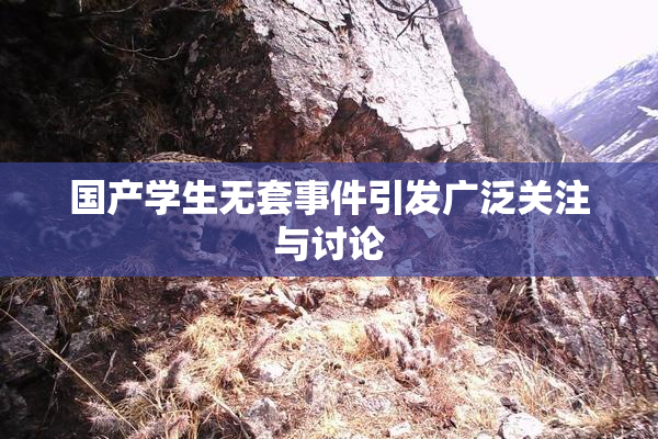 国产学生无套事件引发广泛关注与讨论