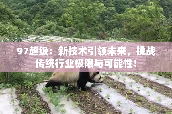 97超级：新技术引领未来，挑战传统行业极限与可能性！