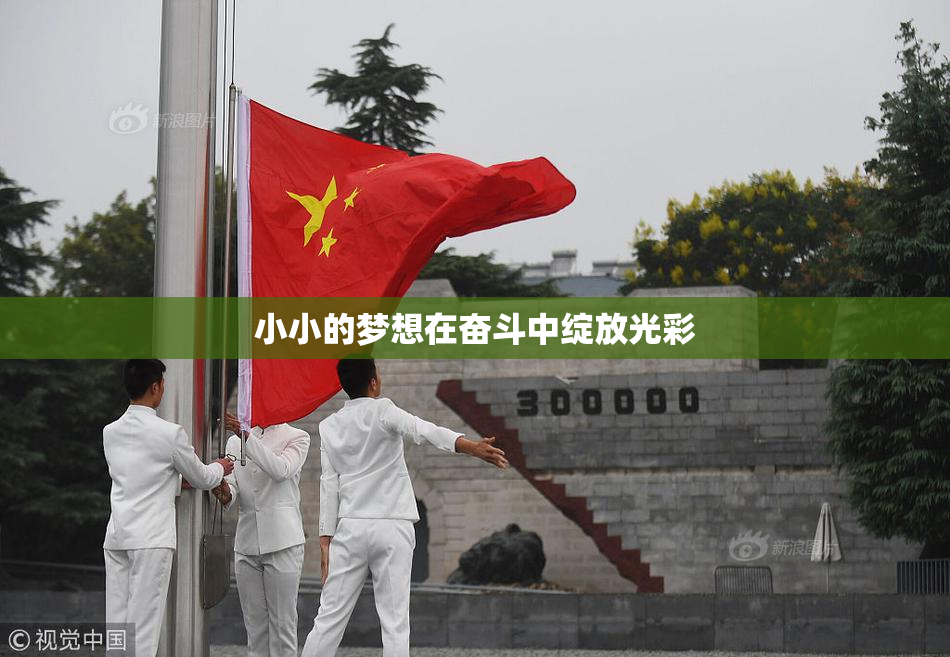 小小的梦想在奋斗中绽放光彩