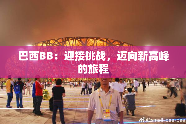 巴西BB：迎接挑战，迈向新高峰的旅程