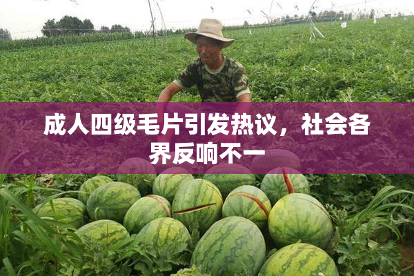 成人四级毛片引发热议，社会各界反响不一