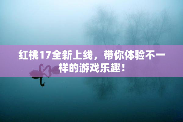 红桃17全新上线，带你体验不一样的游戏乐趣！