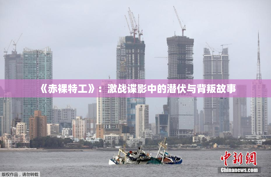 《赤裸特工》：激战谍影中的潜伏与背叛故事