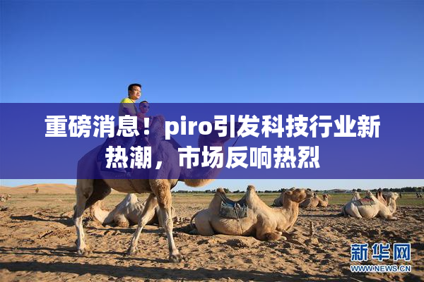 重磅消息！piro引发科技行业新热潮，市场反响热烈