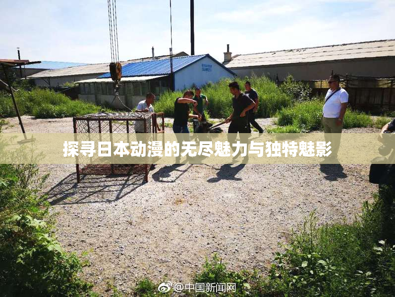 探寻日本动漫的无尽魅力与独特魅影