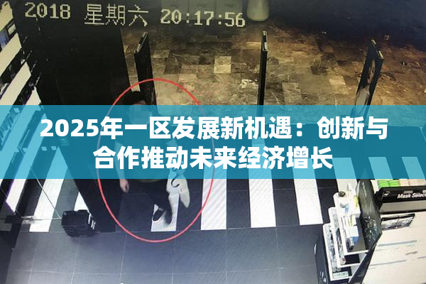 2025年一区发展新机遇：创新与合作推动未来经济增长
