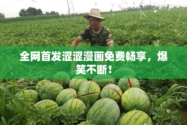 全网首发涩涩漫画免费畅享，爆笑不断！