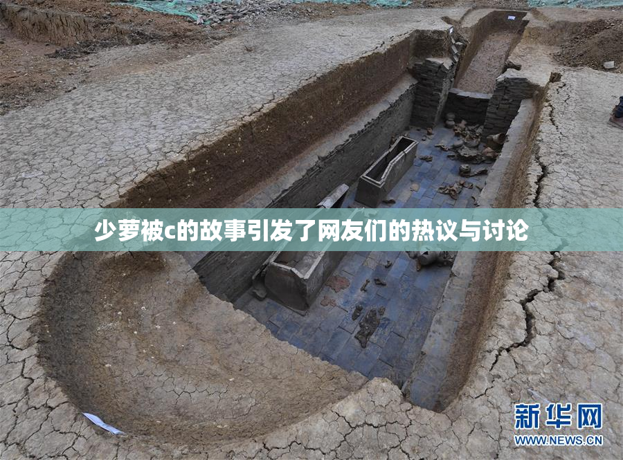 少萝被c的故事引发了网友们的热议与讨论