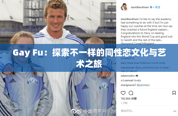 Gay Fu：探索不一样的同性恋文化与艺术之旅