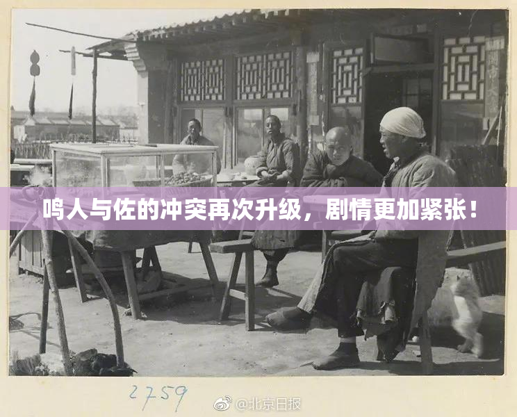 鸣人与佐的冲突再次升级，剧情更加紧张！