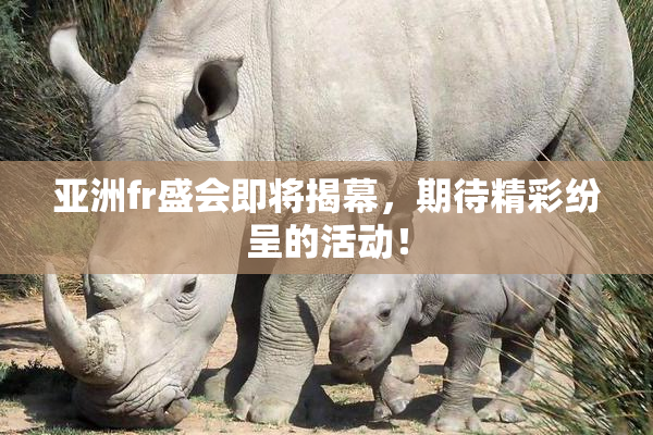 亚洲fr盛会即将揭幕，期待精彩纷呈的活动！
