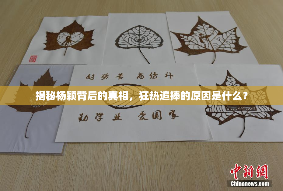 揭秘杨颖背后的真相，狂热追捧的原因是什么？