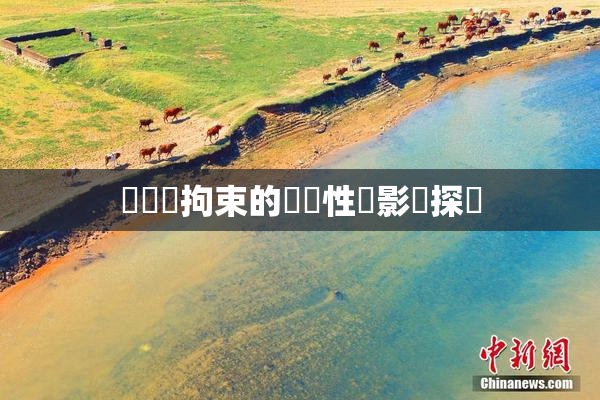 緊縛與拘束的關聯性與影響探討