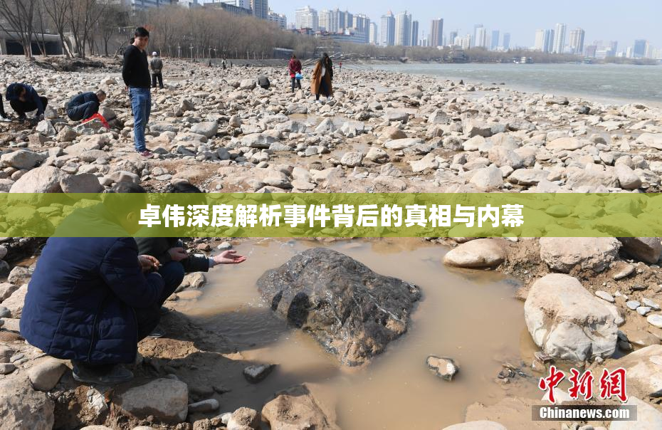 卓伟深度解析事件背后的真相与内幕