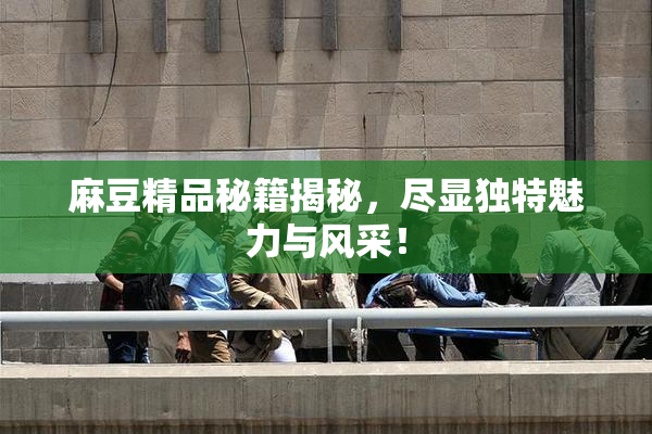 麻豆精品秘籍揭秘，尽显独特魅力与风采！