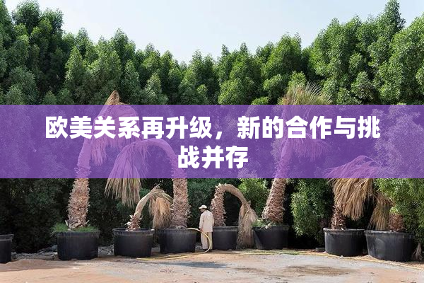 欧美关系再升级，新的合作与挑战并存