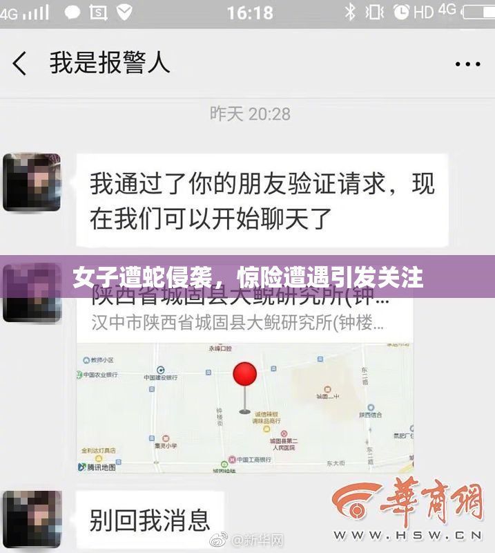 女子遭蛇侵袭，惊险遭遇引发关注