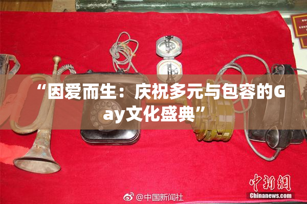 “因爱而生：庆祝多元与包容的Gay文化盛典”