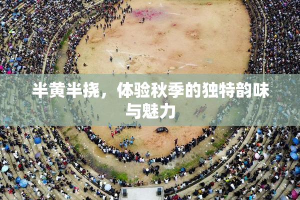 半黄半挠，体验秋季的独特韵味与魅力