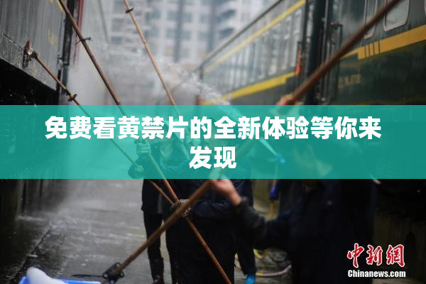 免费看黄禁片的全新体验等你来发现