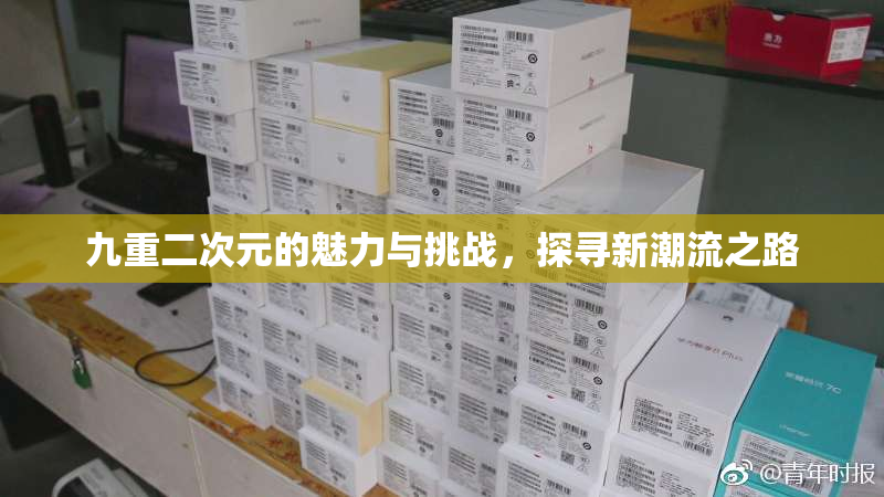 九重二次元的魅力与挑战，探寻新潮流之路