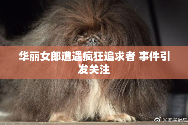 华丽女郎遭遇疯狂追求者 事件引发关注