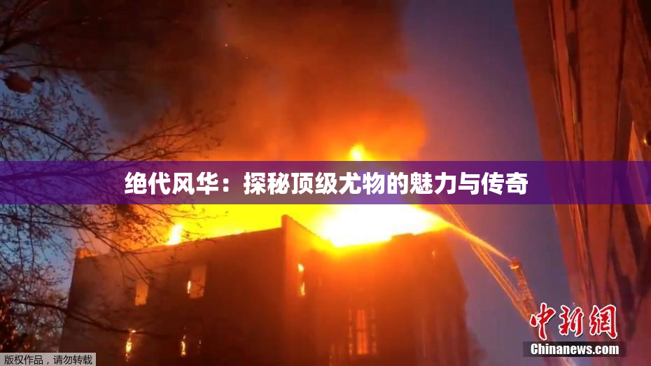 绝代风华：探秘顶级尤物的魅力与传奇