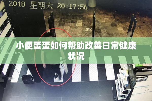 小便蛋蛋如何帮助改善日常健康状况