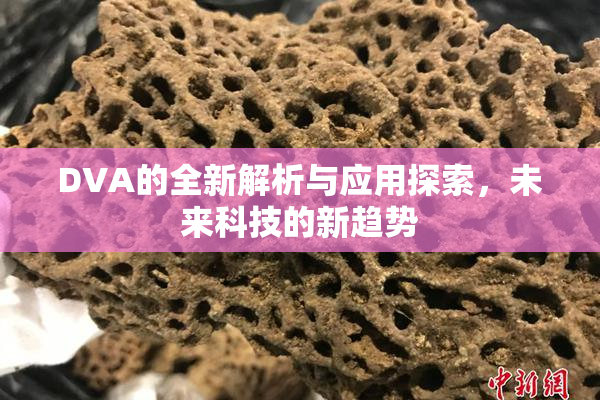 DVA的全新解析与应用探索，未来科技的新趋势