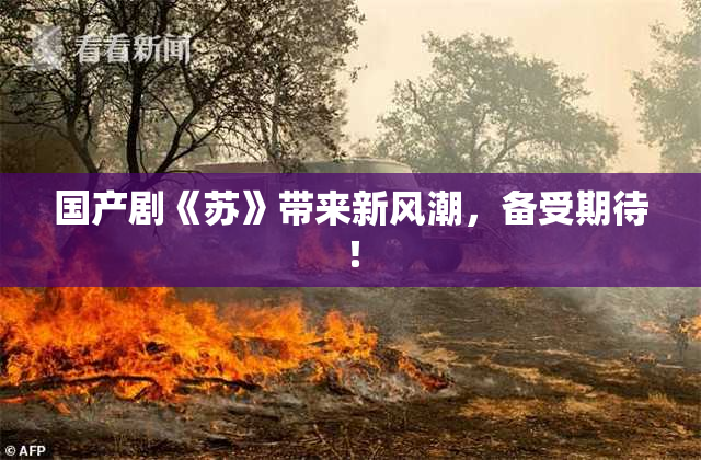 国产剧《苏》带来新风潮，备受期待！