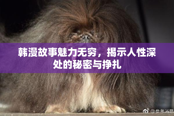 韩漫故事魅力无穷，揭示人性深处的秘密与挣扎