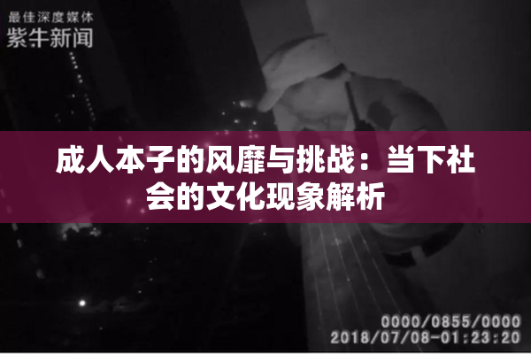 成人本子的风靡与挑战：当下社会的文化现象解析