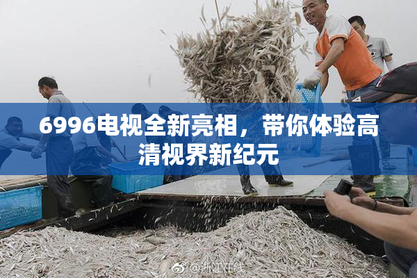 6996电视全新亮相，带你体验高清视界新纪元