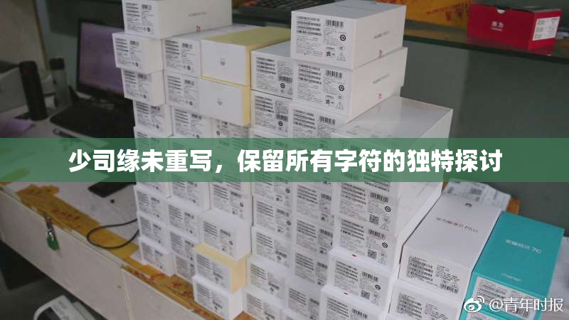 少司缘未重写，保留所有字符的独特探讨