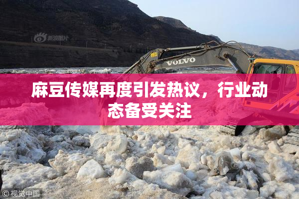 麻豆传媒再度引发热议，行业动态备受关注