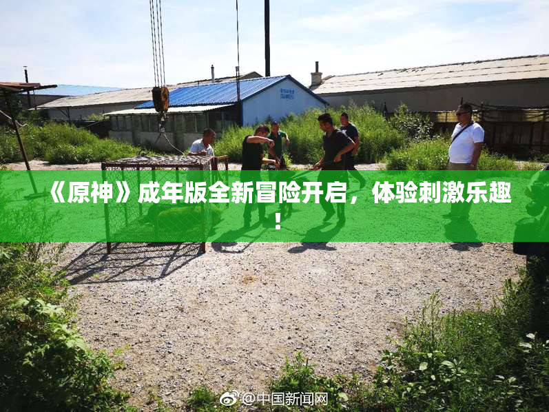 《原神》成年版全新冒险开启，体验刺激乐趣！