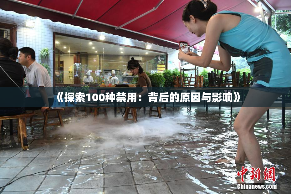 《探索100种禁用：背后的原因与影响》