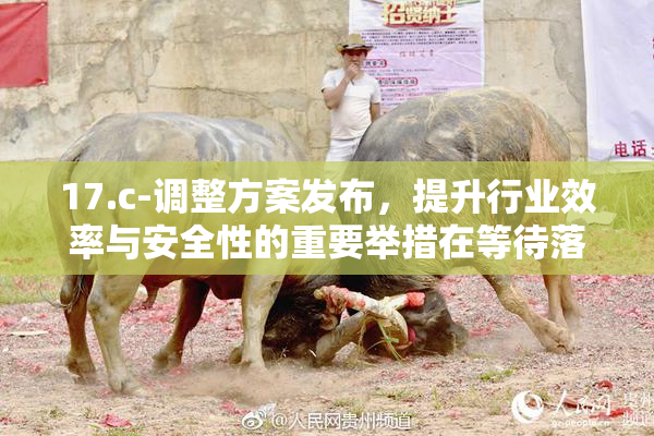 17.c-调整方案发布，提升行业效率与安全性的重要举措在等待落实。