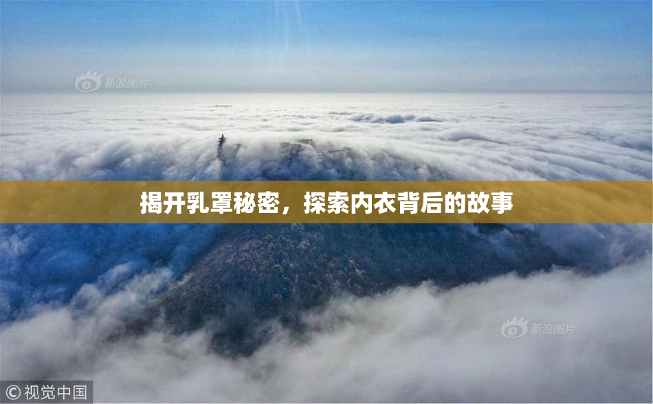 揭开乳罩秘密，探索内衣背后的故事