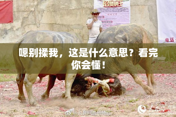 嗯别揉我，这是什么意思？看完你会懂！
