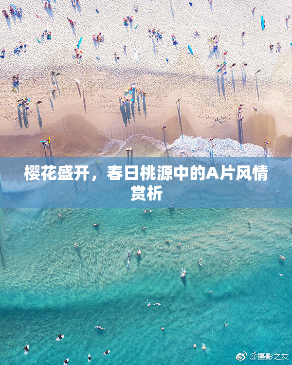 樱花盛开，春日桃源中的A片风情赏析