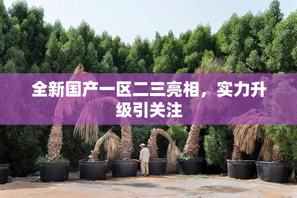 全新国产一区二三亮相，实力升级引关注