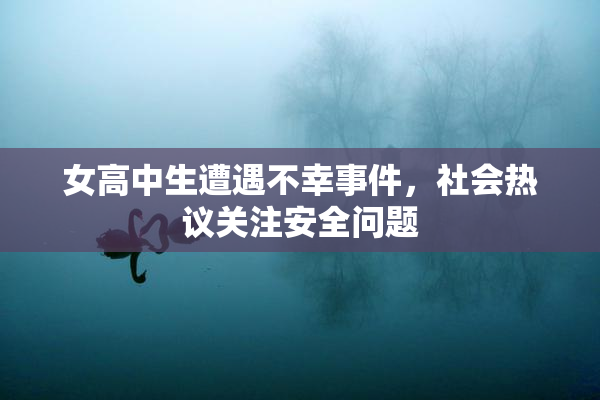 女高中生遭遇不幸事件，社会热议关注安全问题